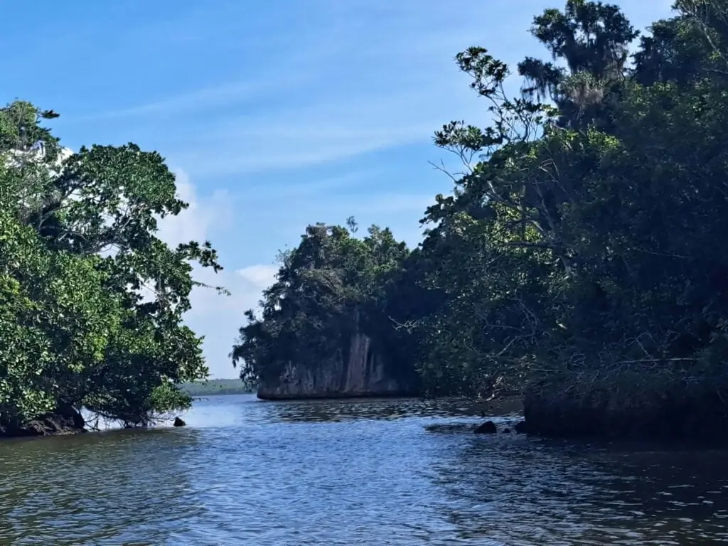 Los haitises by DDD tours