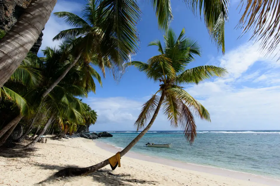 Los haitises by DDD tours